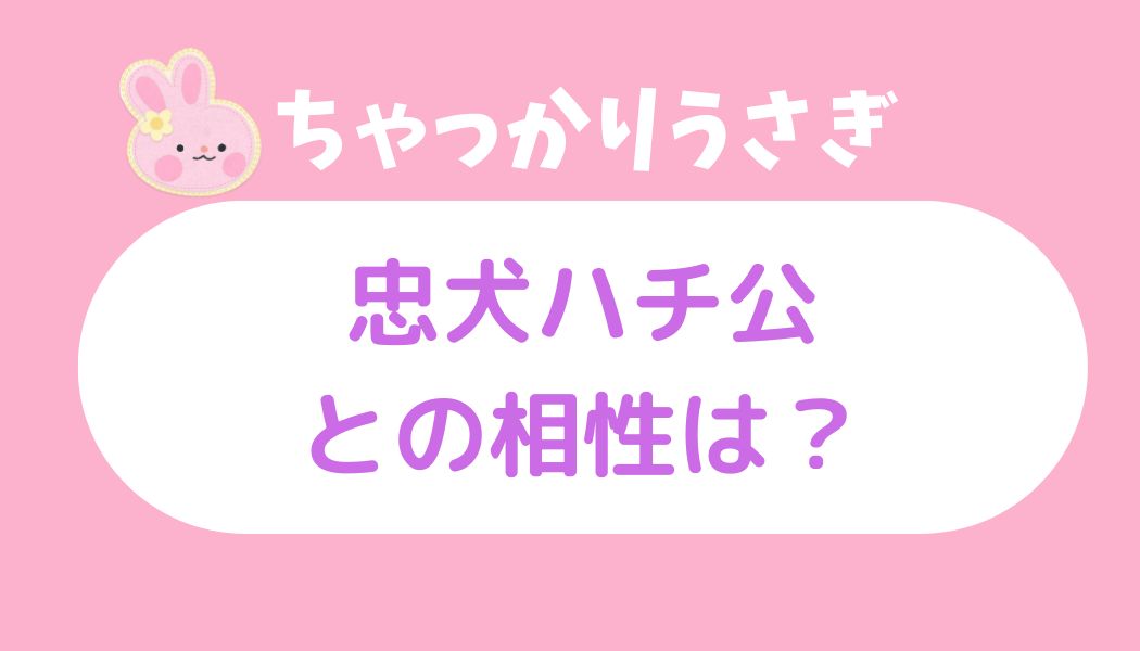 ちゃっかりウサギ忠犬ハチ公